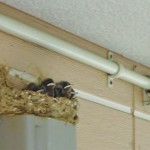 DSC05958