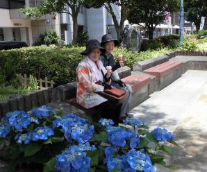 外食・買い物・紫陽花見学～すまいる～