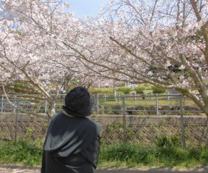 お花見ドライブｉｎ元宮公園～すまいるはぁと～