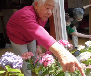 紫陽花まつりinすまいるはぁと