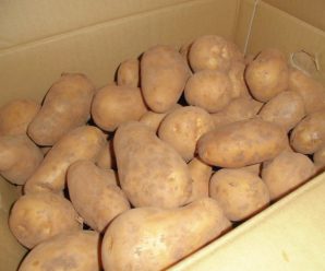 じゃがいも🥔～すまいるはぁと～