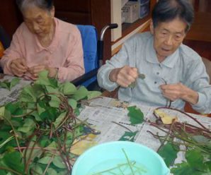 陽だまりの芋つるむき～