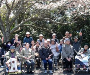 さんくすのぎっしりお弁当と花見