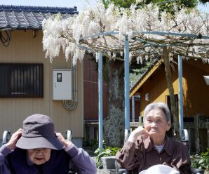 日本晴れの日に散策～１番館