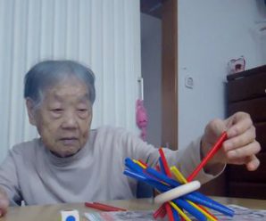 ある日の陽だまり~