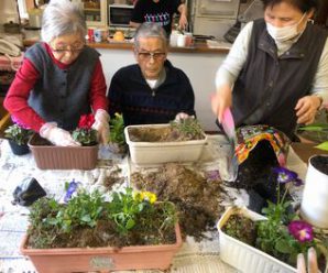 花の植え替え🌷１番館