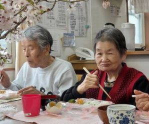 お花見🌸１番館