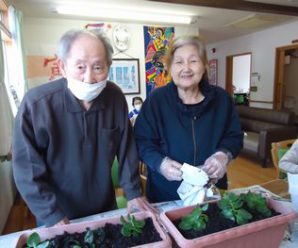 お花の植え替え🌺　２番館