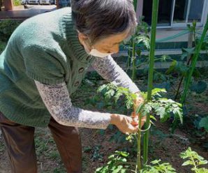 農園のお手入れ🌱たかのしの杜