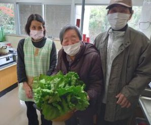 レタスの収穫🥬たかのしの杜