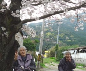 お花見🌸２番館