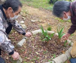 ガーデニング🌱たかのしの杜