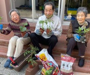 夏野菜の苗植え🥕たかのしの杜