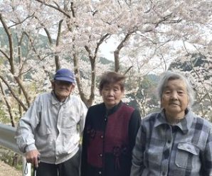 お花見さんぽ🌸たかのしの杜