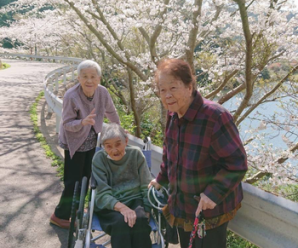 お花見ドライブ🌸デイサービス