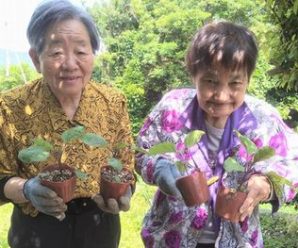 夏野菜の苗植えPart.2🌱たかのしの杜