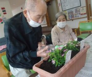 花の植え替え🌷２番館