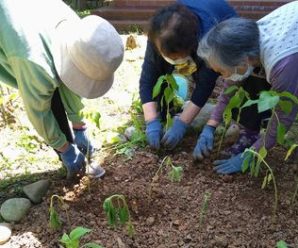 たかのし農園🌱たかのしの杜