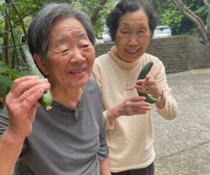 夏野菜の収穫🥒たかのしの杜