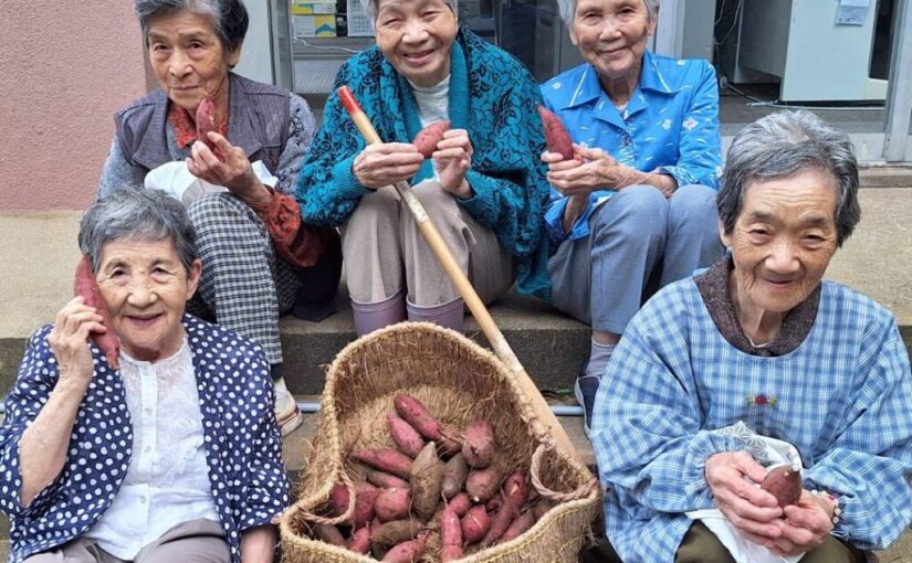 イモ掘り🍠たかのしの杜