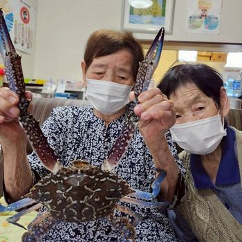 カニの捕獲🦀さんくす