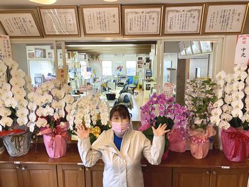胡蝶蘭🌼上五島総務課