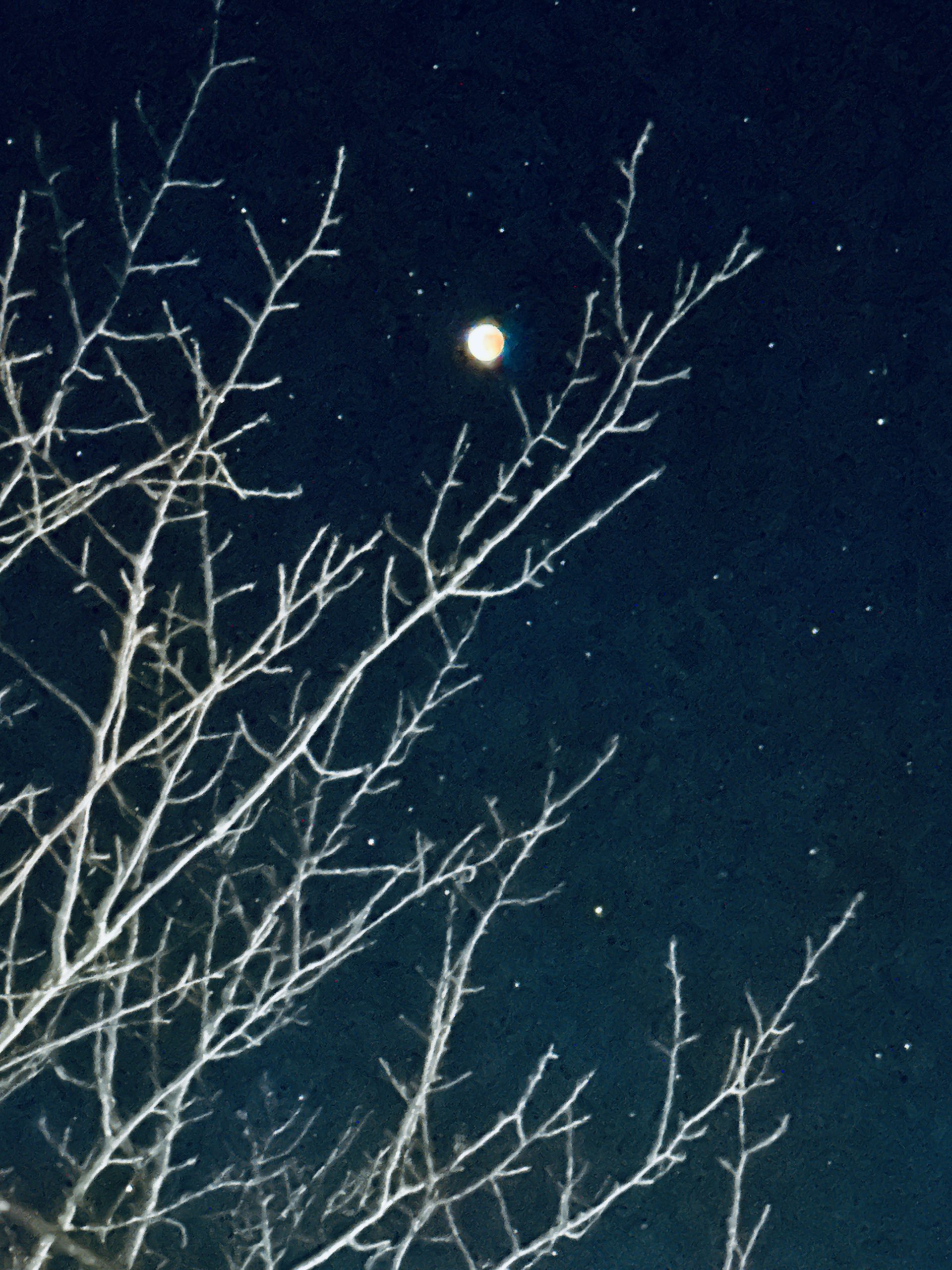皆既月食🌛上五島総務課