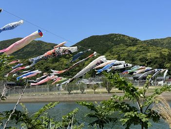 今年も舞ってます🎏上五島総務課
